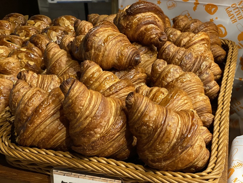 リヨンコッペル「カレンダーセール」