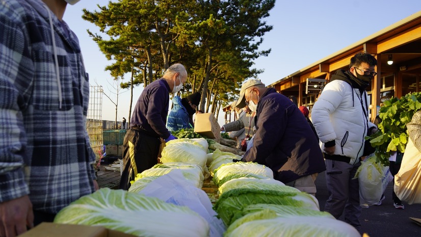 野菜の特価販売