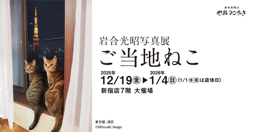 「岩合光昭写真展 ご当地ねこ」（C）Mitsuaki Iwago