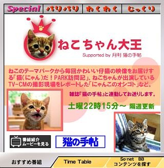 あのHITOEやかわいいねこちゃんの番組が登場！「So-net TV」7月の新番組