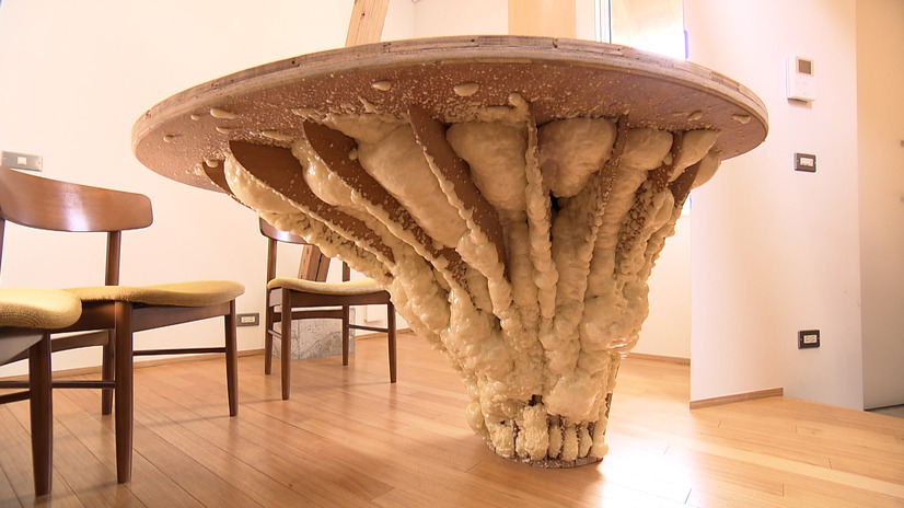 発泡ウレタンを吹き付けて補強している“キモカワ”なダイニングテーブル©MBS