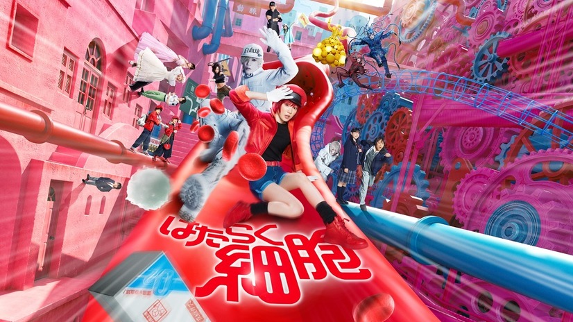 ©清水茜／講談社 ©原田重光・初嘉屋一生・清水茜／講談社 ©2024映画「はたらく細胞」製作委員会 © 2024 Warner Bros. Entertainment Inc. All Rights Reserved.