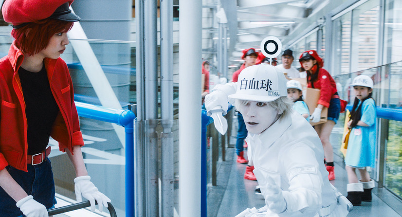 ©清水茜／講談社 ©原田重光・初嘉屋一生・清水茜／講談社 ©2024映画「はたらく細胞」製作委員会 © 2024 Warner Bros. Entertainment Inc. All Rights Reserved.