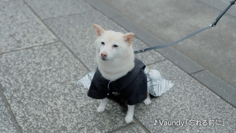 東京メトロの新CM「市ケ谷_私の心をほぐすもの」編
