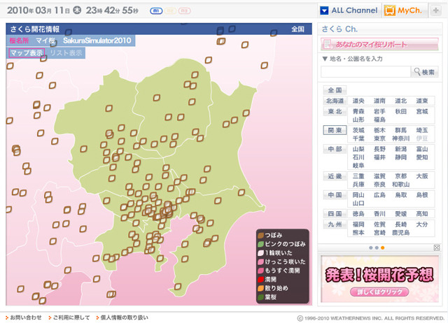 関東の開花状況