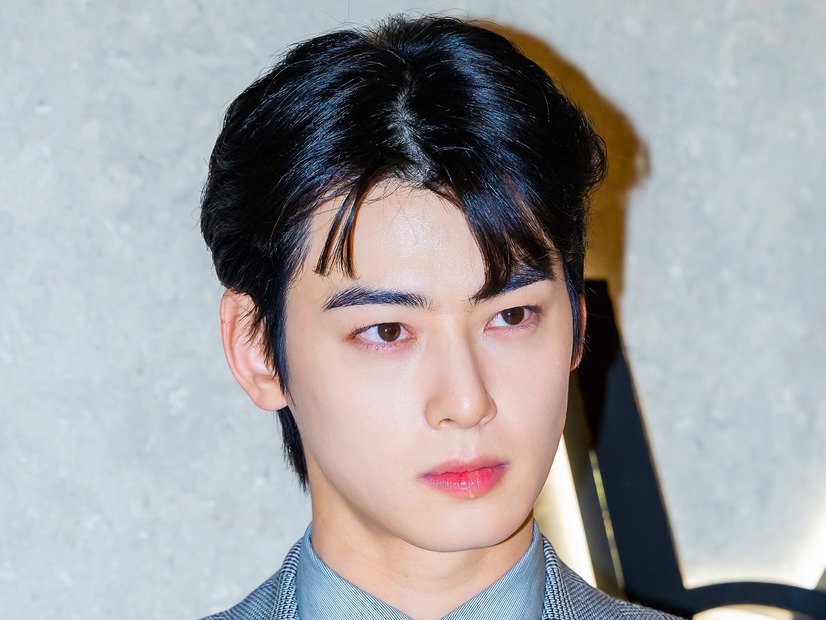 20億円超脱税疑惑のチャウヌ、韓国トップの法律事務所が弁護へ…過去にNewJeans訴訟を担当