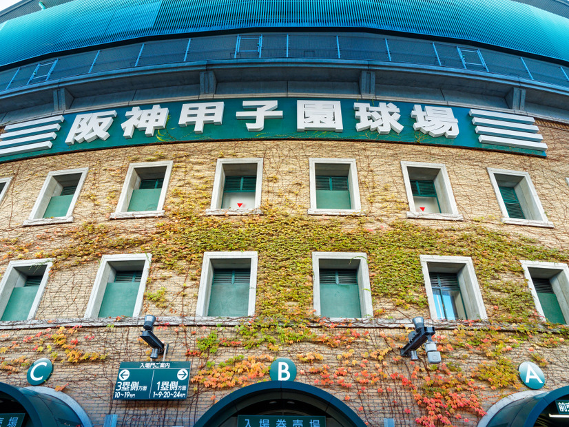 阪神甲子園球場（Loco - stock.adobe.com）