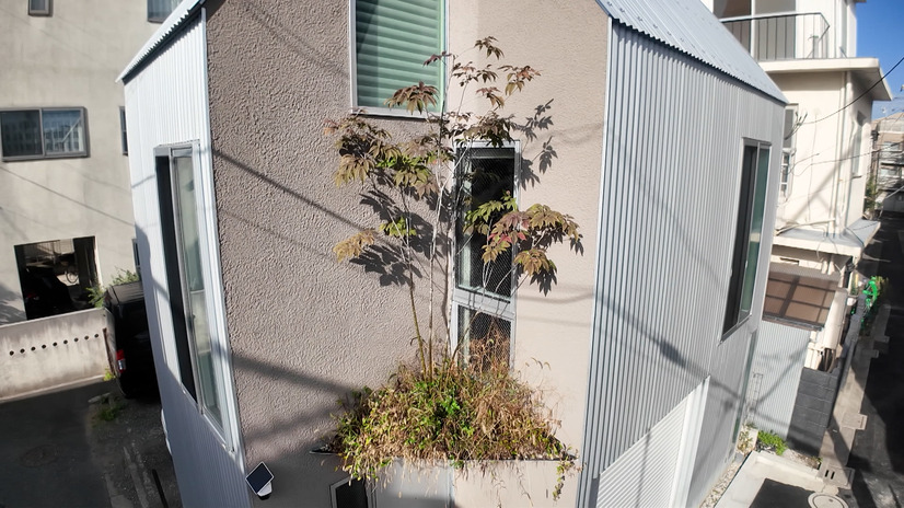 玄関の庇（ひさし）を兼ねた2階の庭©MBS