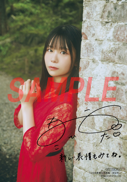 『小日向美香1st写真集 まなざし』アニメイト特典複製サイン＆コメント入りブロマイドA（2種のうちランダムでお渡し）