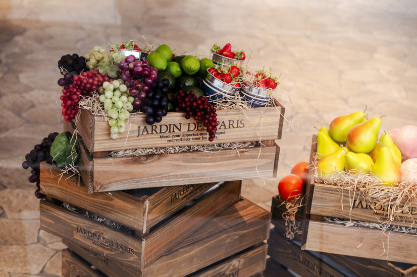 【撮影：田中聖太郎写真事務所】