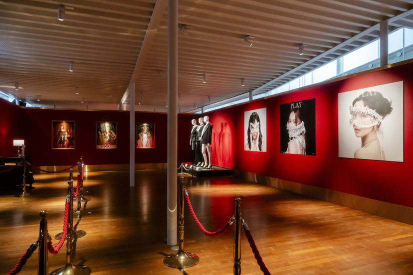 【撮影：田中聖太郎写真事務所】