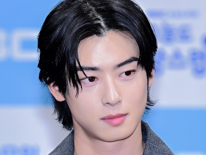 チャウヌの200億ウォン脱税疑惑、納税者連盟が情報流出を問題視　税務公務員・記者を告発へ