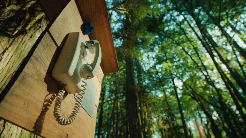 海外の森の中に置かれた風の電話『それからの、風の電話』（C）NHK