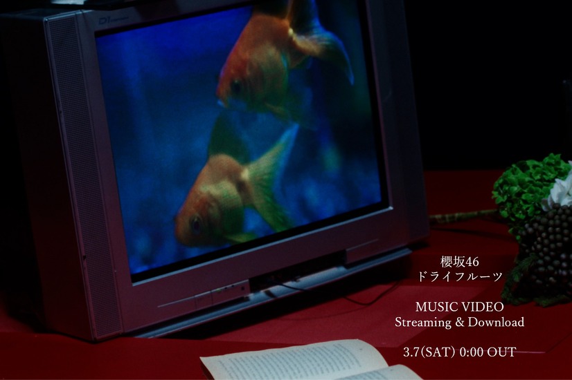 新曲『ドライフルーツ』