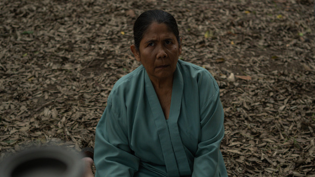 『サトウキビは知っている』© 2025 MD Pictures