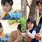 ミルクティー、飴玉1つ、猫のストレスまで“検閲”されるのに　韓国スターが「赤ちゃんコンテンツ」に走る理由 画像