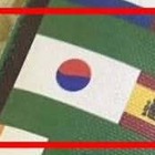 あまりにもお粗末な韓国国旗に大学教授怒り、世界的ハンバーガーチェーンのW杯記念グッズが物議 画像