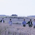ENHYPEN、危うくも美しい“最後の逃避”を描く…新アルバム『THE SIN：BLISS』の物語に注目 画像