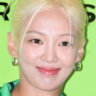 「この記者さんの住所を買います」少女時代・ヒョヨンがまさかの“公開捜索”…一体何が？ 画像