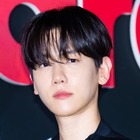「最も被害を受けたのはEXO・ベクヒョン」約630億ウォン規模の被害説…専属契約めぐり衝撃主張 画像