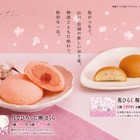 朝ドラ「ブラッサム」が山口銘菓に！「月でひろった卵 さくら」など2品発売 画像