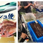 イオン、函館の朝獲れ鮮魚を新幹線配送！首都圏4店舗で2日間販売 画像