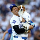大谷翔平、愛犬の写真投稿！「デコピン」2歳の誕生日 画像