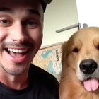 動物たちがあの手この手でかまってアピール！ ご主人のニオイが好きすぎる犬ネコに爆笑 画像
