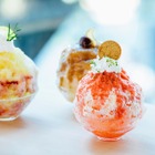 AKOMEYA TOKYO、「国産素材を味わう」贅沢かき氷を神楽坂で26日より販売 画像