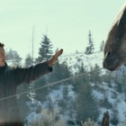 シリーズ6作目・『ジュラシック・ワールド／新たなる支配者』がフジ『土曜プレミアム』で放送 画像