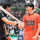 世界バレーの裏で韓国プロバレーが“アマチュアレベル”の失態　カップ戦開催めぐり大混乱…一体何が？ 画像