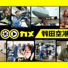 世界屈指の混雑空港“羽田空港”に潜入！ NHK『100カメ』が番組史上最長の3000時間撮影を敢行 画像