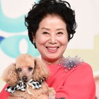 「キムチ臭いと鼻をつままれた」韓国大御所女優、アメリカでの“差別経験”を告白「私も“チーズはバッドスメル”って…」 画像
