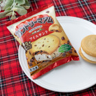 不二家「カントリーマアム」がアイスサンドに！セブンイレブンで28日より限定販売 画像