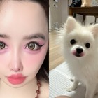 犬に“口紅”塗りたくり炎上　「64272e兆億ウォン」告訴に続いて韓国アイドルがまたしても奇行 画像