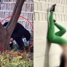 「最低限の礼儀守れ」ついに“排便”する姿まで　韓国の文化遺産一帯で外国人観光客の迷惑行為、大学教授が怒り 画像