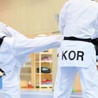 テコンドーを「NINJA TRAINING」と表現した海外大手メディア…韓国から批判殺到「日本的イメージで消費した」 画像