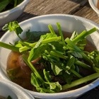 熱々のせり鍋2000人分を無料配布！宮城県名取市で「せり鍋まつり」が12月7日に開催 画像