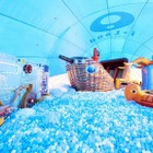 年末年始の海外旅行先として最も人気が上昇している国は？2位は韓国、3位はハワイ 画像