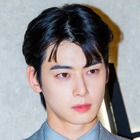 20億円超脱税疑惑のチャウヌ、韓国トップの法律事務所が弁護へ…過去にNewJeans訴訟を担当 画像