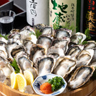 兵庫県産の生牡蠣を1個100円で提供！庄や、2月1日より「生牡蠣破格値」キャンペーン実施 画像