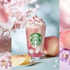 スタバ、春の新作は“白桃×桜”！フラペチーノ＆ラテ＆ソーダの3種類を18日に発売 画像