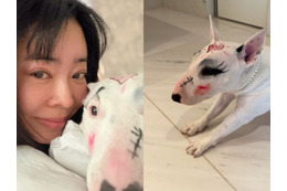 愛犬への“落書き”に「動物虐待」「正気かよ」とドン引きの声も…韓国女性歌手のSNS投稿が物議 画像