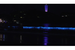 片瀬海岸西浜の夜光虫動画が話題！新江ノ島水族館公式がSNSに投稿