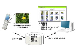 富士通、社員参加で全国のタンポポを写メ ～ ICTを活用した「生物多様性調査」 画像