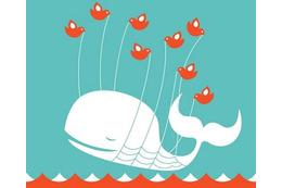 Twitterに何が起こった?――ツイッターがアクセス障害の原因を説明 画像