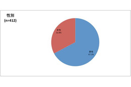 iPad所有者の約3分の1が「女性」～就寝前の利用も多いと実態調査 画像