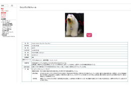 日本オラクルの“社員犬”ウェンディが死去 画像