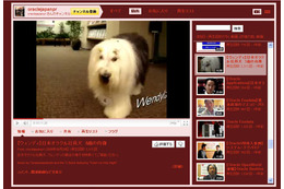 日本オラクルの“社員犬”ウェンディが死去 画像