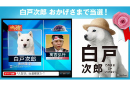 「白戸次郎、おかげさまで当選！」…ソフトバンクのお父さん犬、いち早く当確に名乗り 画像